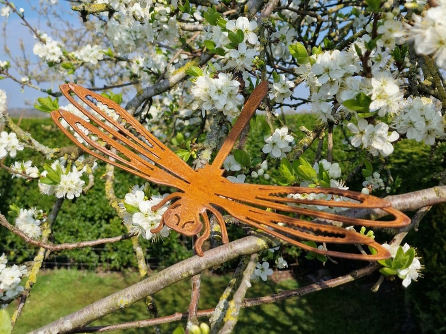 Rusted Metal Dragonfly Rusted Garden Art Rusty Outdoor Ornaments Metal Sculpture