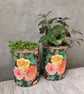 Midnight bloom floral grow your own herb gift set  - Image 6