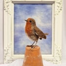 Needlefelted Robin on Clay Plant Pot