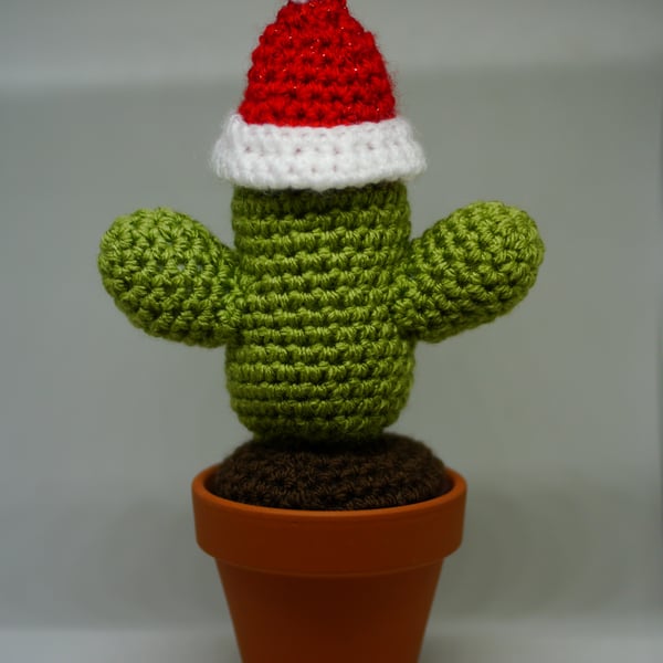 Crochet Cactus desert style, Christmas Cactus with removeable Santa hat. 
