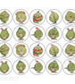 'Singing Sprout' Stickers - Pack of 20 - Image 1