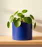 Large 15 cm Round Prussian Blue Plant Pot for Houseplants