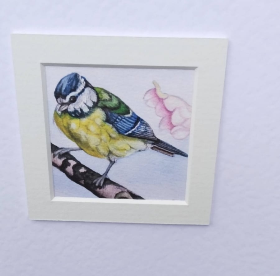 Bird greeting card, blue-tit card, bird lovers cards, watercolour bird card.
