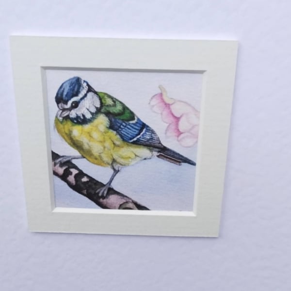 Bird greeting card, blue-tit card, bird lovers cards, watercolour bird card.
