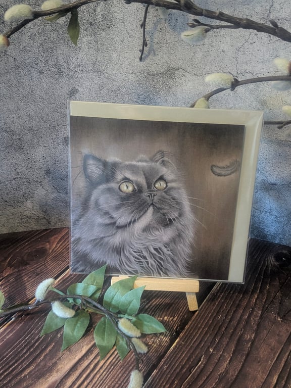 'Make a Wish' Blank Greetings Card 