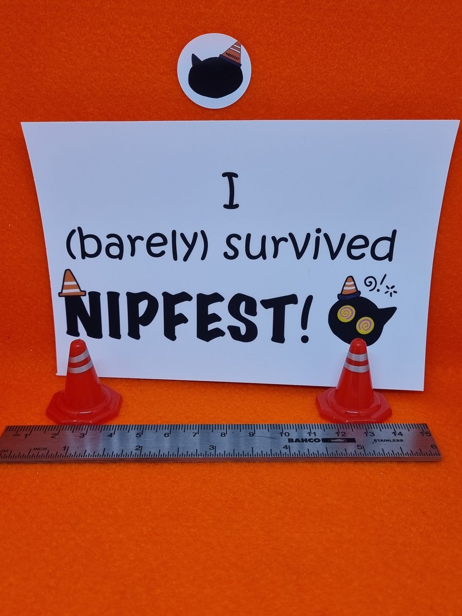 Nipfest I barely survived iron on transfer