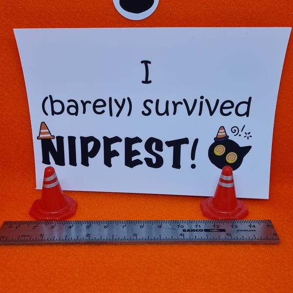 Nipfest I barely survived iron on transfer