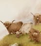 Highland Cattle . Isle of Skye. Pair of framed canvas prints. - Image 5