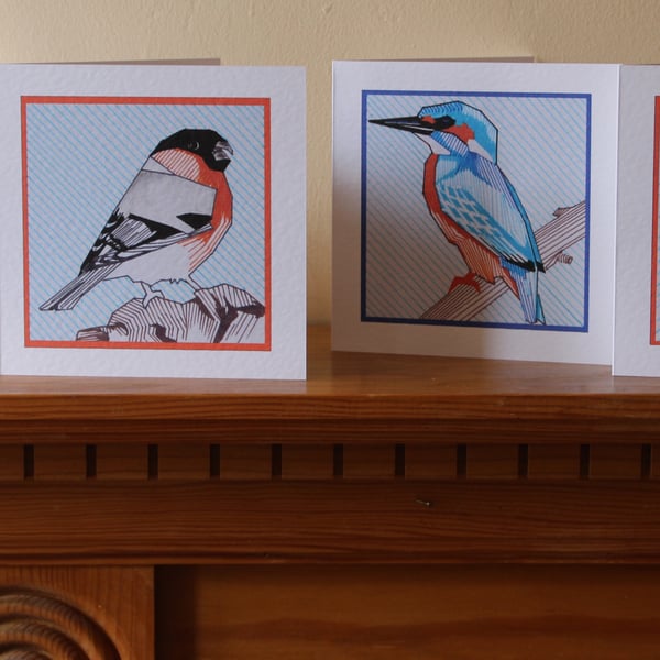 Set of 4 bird gift cards: King fisher, Brambling, Bull finch and Bluetit