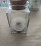Wish in a jar for good luck and fortune 