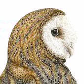 Natalie Toms Wildlife Artist