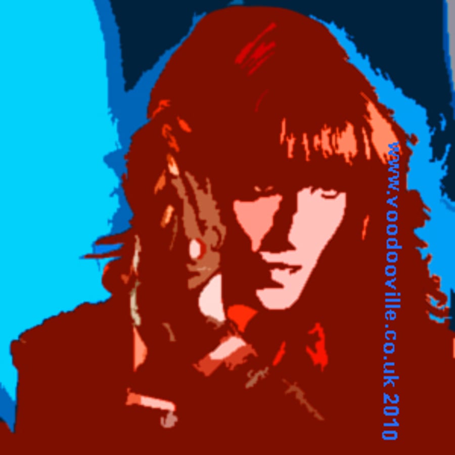 Florence Welch Florence and the machine pop art print with free shipping