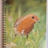 ‘Rocker’ Robin Notebook, Sketchpad