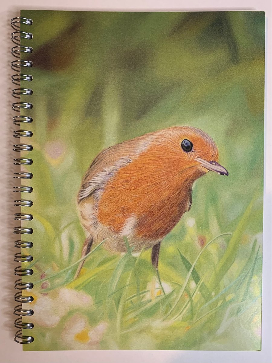 ‘Rocker’ Robin Notebook, Sketchpad