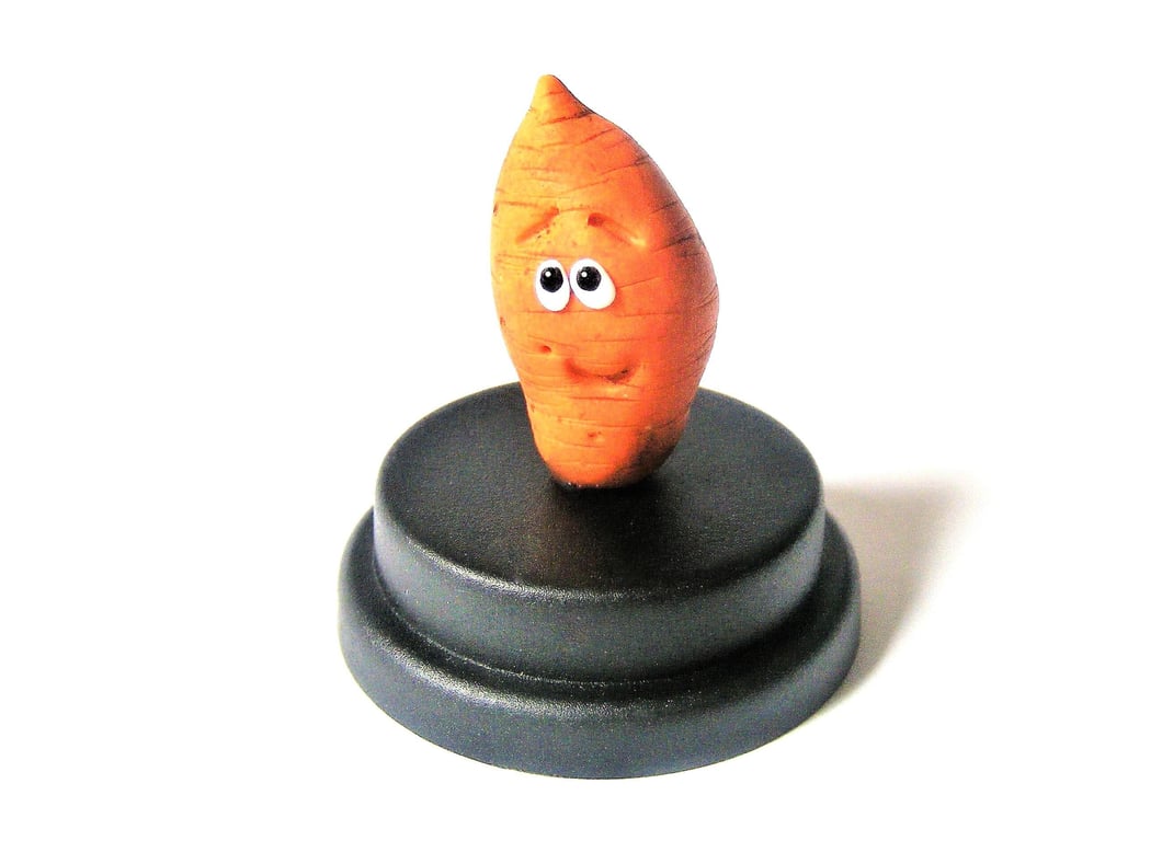 Pet Sweet Potato, Pet Yam, Vegetarian gift, vegan gift