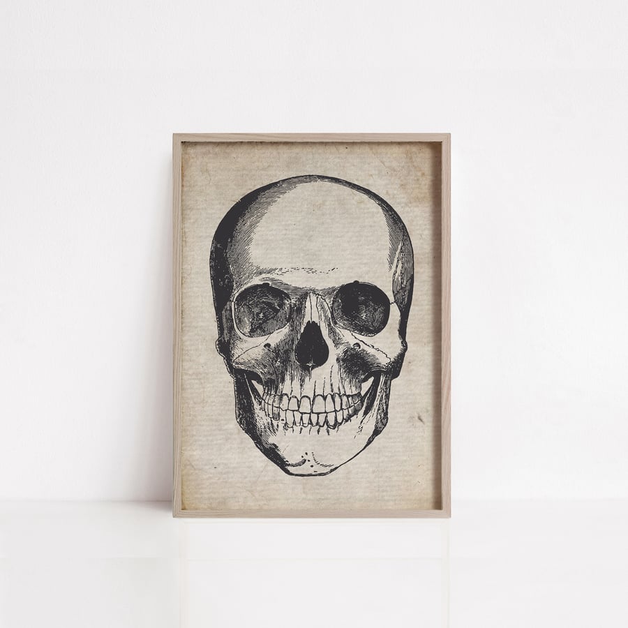 Human skull on vintage paper texture print