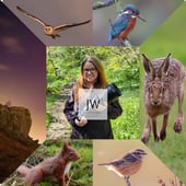 Julie Wilkinson Photography