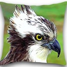 Osprey Cushion Osprey pillow 