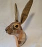Faux hare head wall mount- Mr Henderson