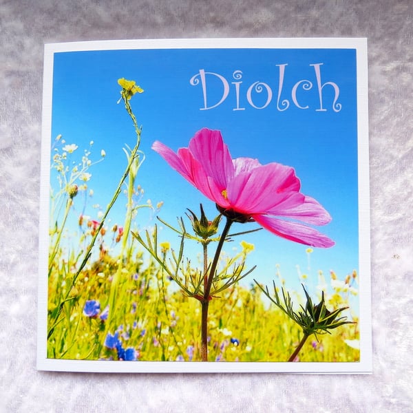 Diolch.  Welsh greetings card.  Cymraeg.  Thank you card.