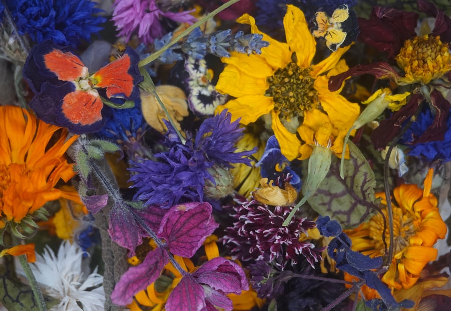 Pixie Mix Dried Edible Flowers and Leaves for Cakes and Cocktails
