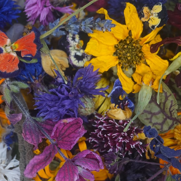Pixie Mix Dried Edible Flowers and Leaves for Cakes and Cocktails