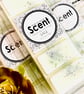 Sage Snap Bar Wax Melts - Image 2