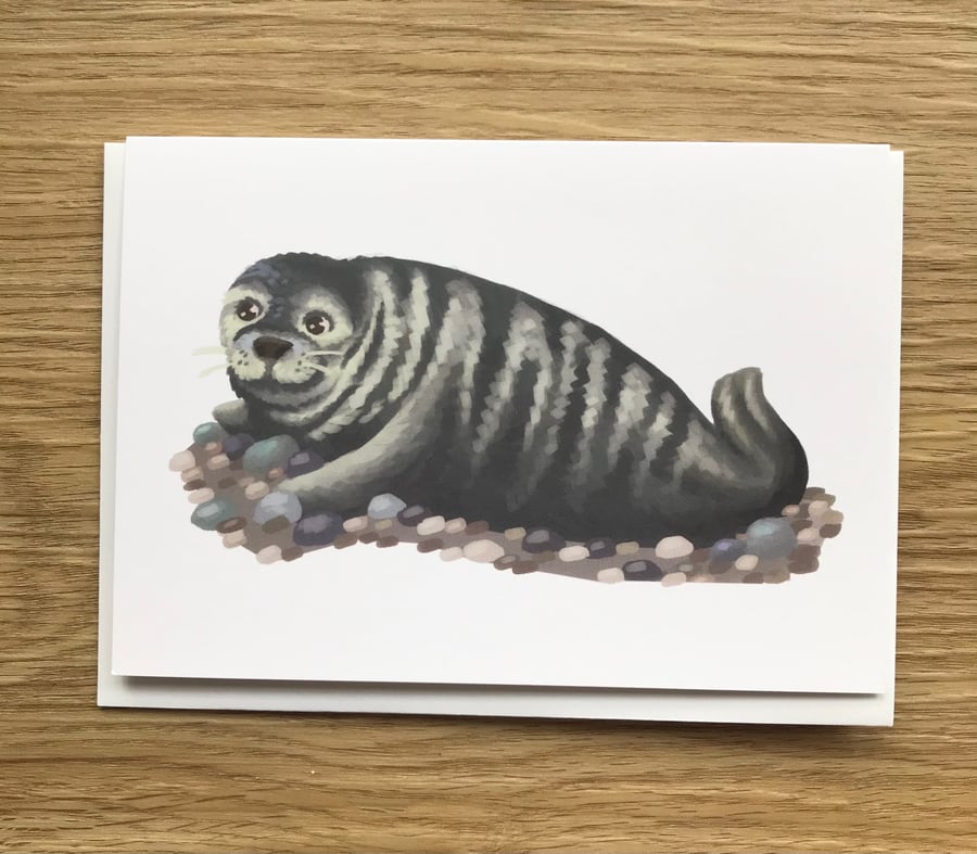 Grey Seal Blank Greeting Card