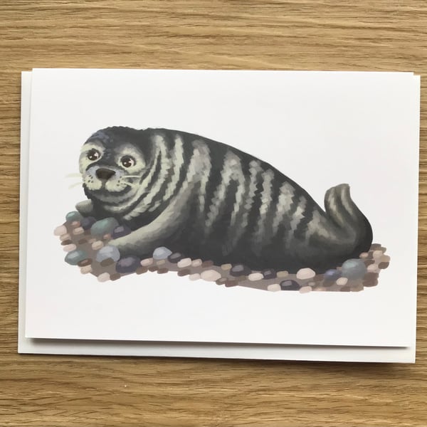 Grey Seal Blank Greeting Card