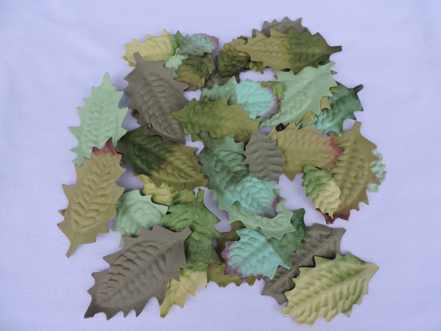 Assortment of 36 Green Mulberry Leaves
