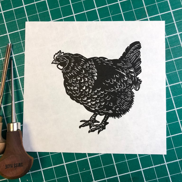 Little maran hen