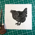 Little maran hen