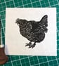 Little maran hen - Image 1