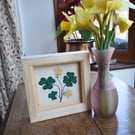 Box frame textile art picture of shamrock or clover leaves and flowers
