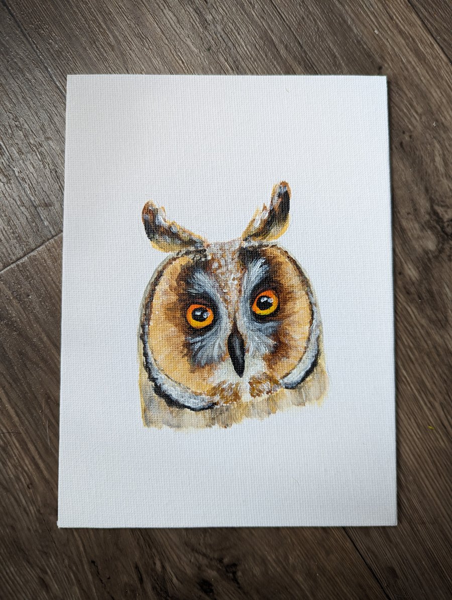 Short-eared Owl Portrait Painting 