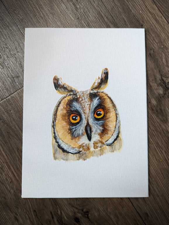 Short-eared Owl Portrait Painting 
