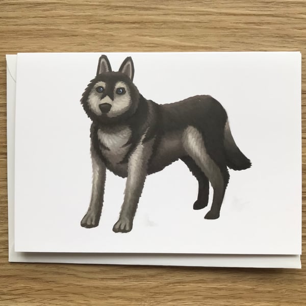Husky blank greeting card