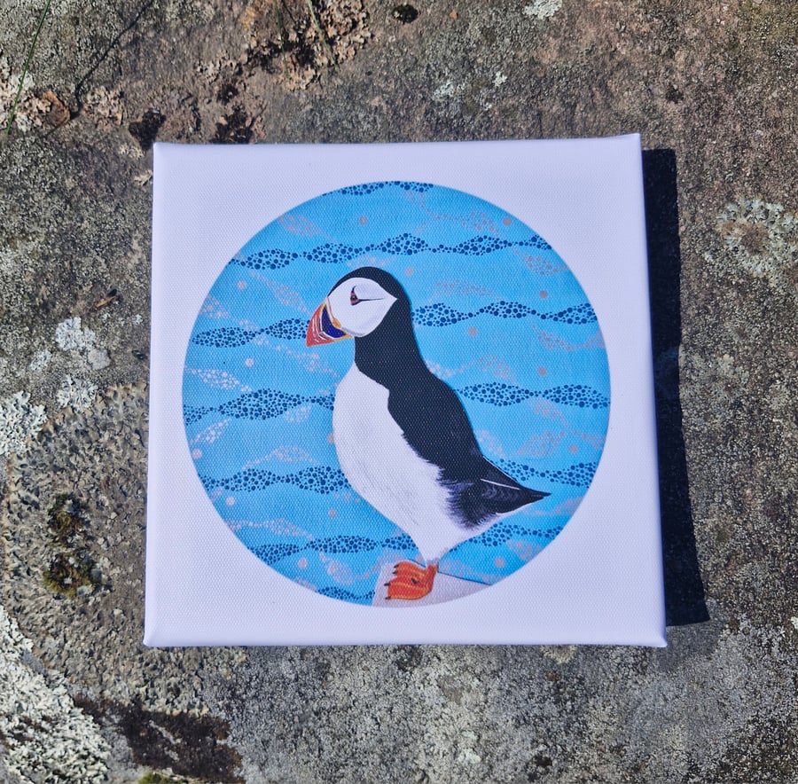 Tammie Norrie (Puffin) Canvas Print 