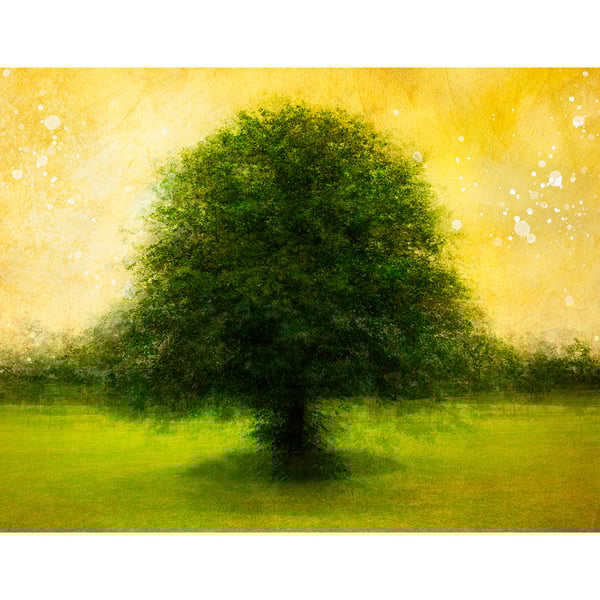 Tree Art Print on Fine-Art Paper A4 and A3 Sizes