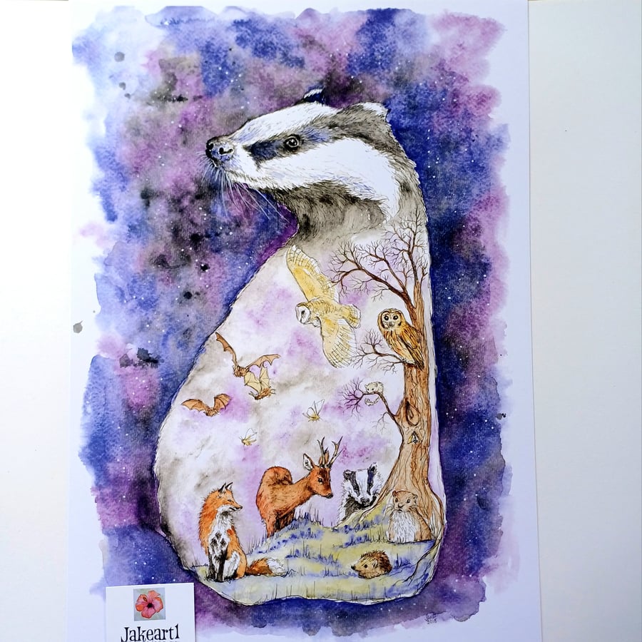 Badger British Wildlife fine art print