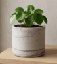 15 cm Round Grey Marble Effect Plant Pot Indoor Planter - Image 5