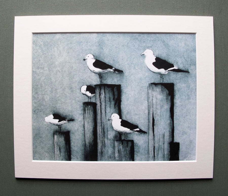 Fine Art Print Gulls