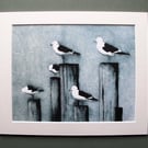 Fine Art Print Gulls