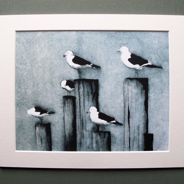 Fine Art Print Gulls