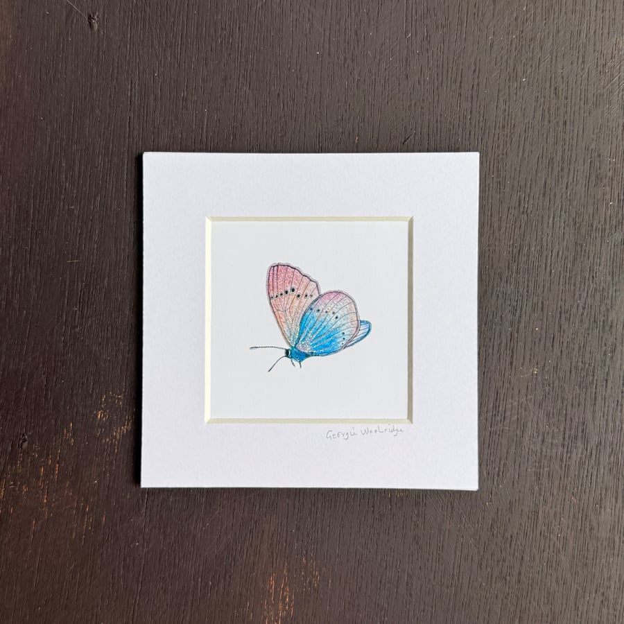 'Common Blue' 5" x 5" Hand Finished Print