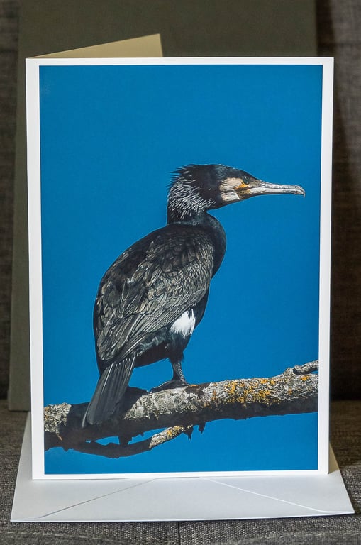 Cormorant A5 Blank Greeting Card