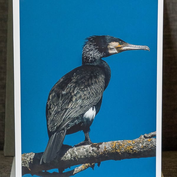 Cormorant A5 Blank Greeting Card