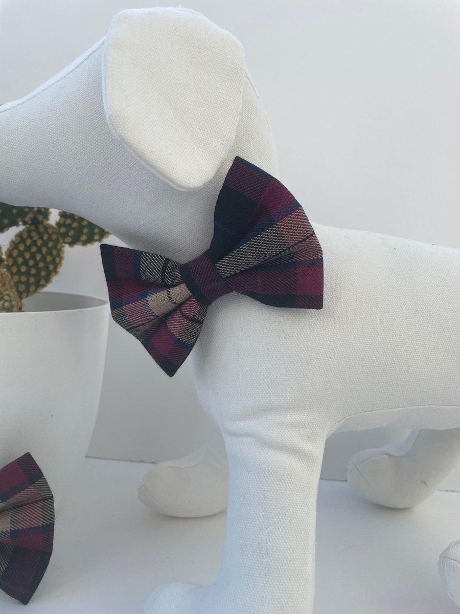 Purple tartan Dog Bow Tie Folksy