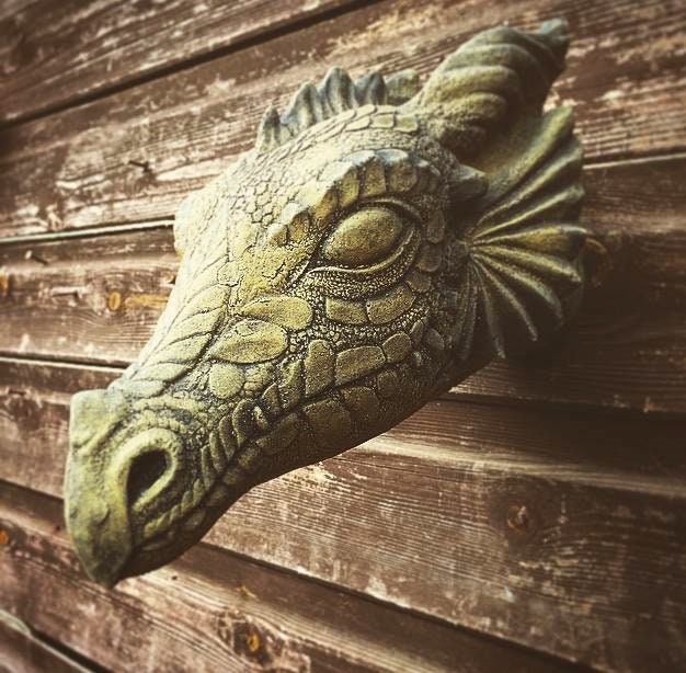 Wyvern Dragon Head Plaque