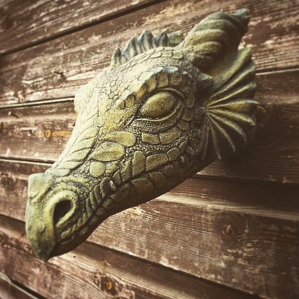 Wyvern Dragon Head Plaque